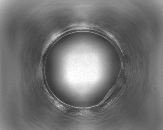 X0000059851464200510241451