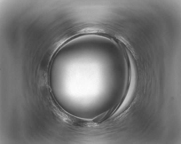 X0000059851465200510241451