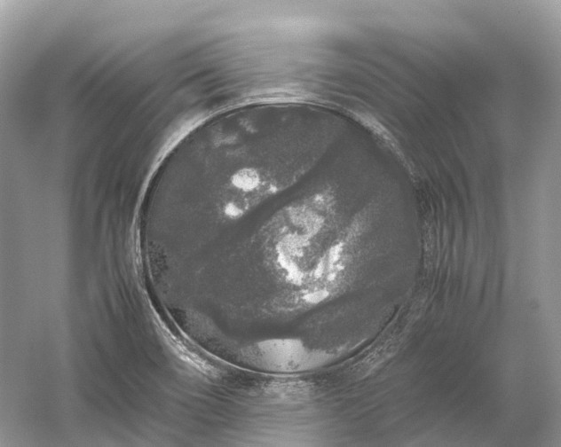 X0000059851466200510241451