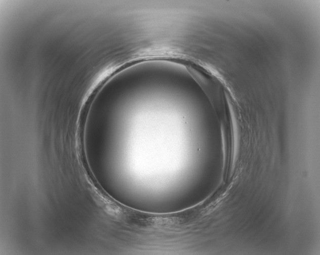 X0000059851469200510241451