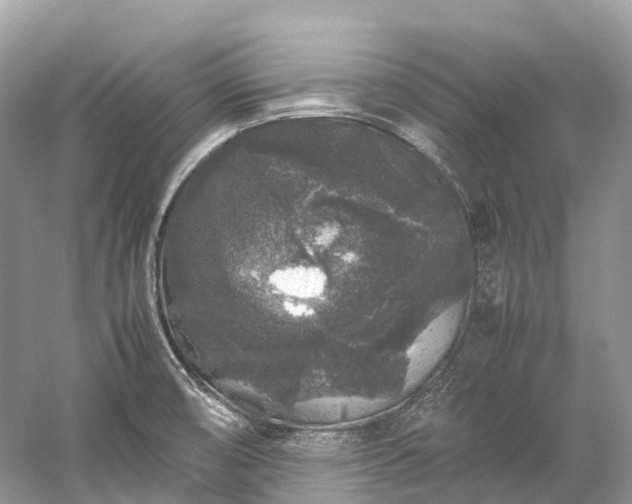 X0000059851474200510241451