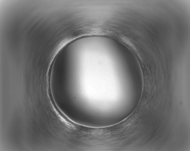 X0000059851479200510241451
