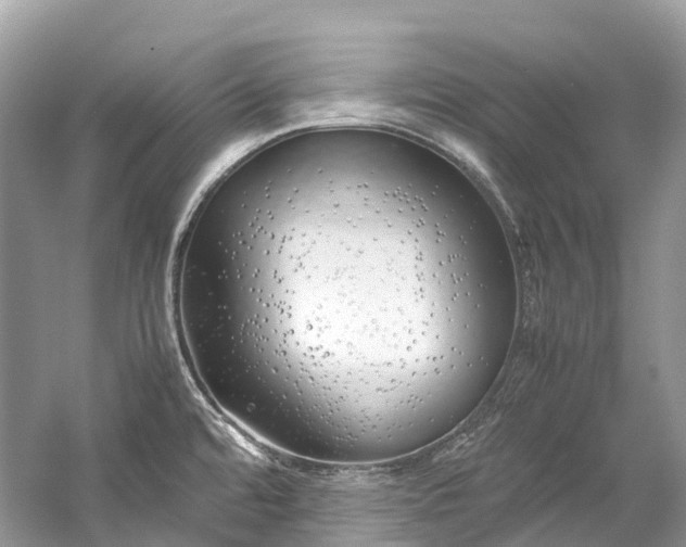 X0000059851480200510241451