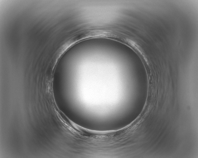 X0000059851481200510241450