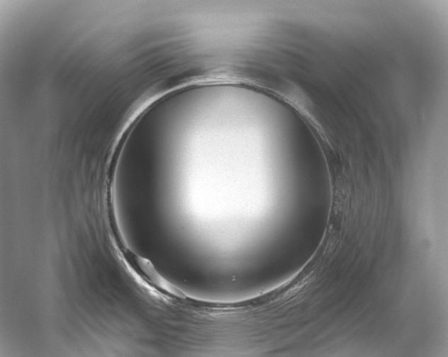 X0000059851484200510241450