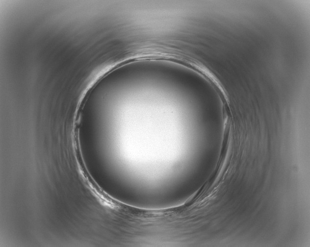 X0000059851485200510241450
