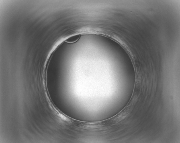 X0000059851486200510241450