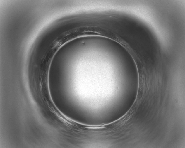 X0000059851487200510241450