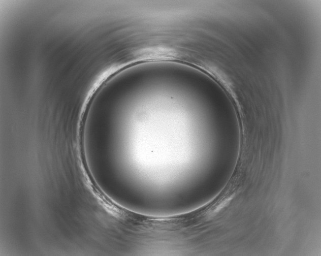 X0000059851488200510241450
