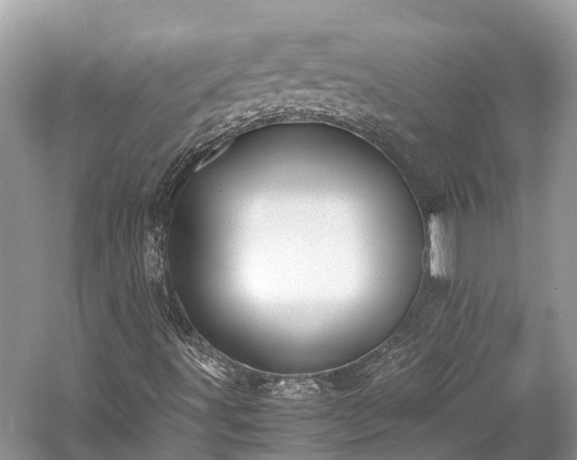 X0000059851491200510241450