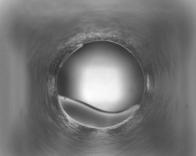 X0000059851492200510241450