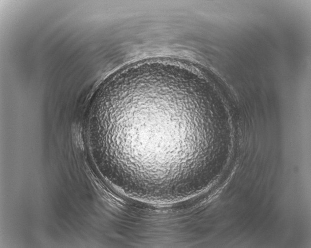 X0000059851497200510241450