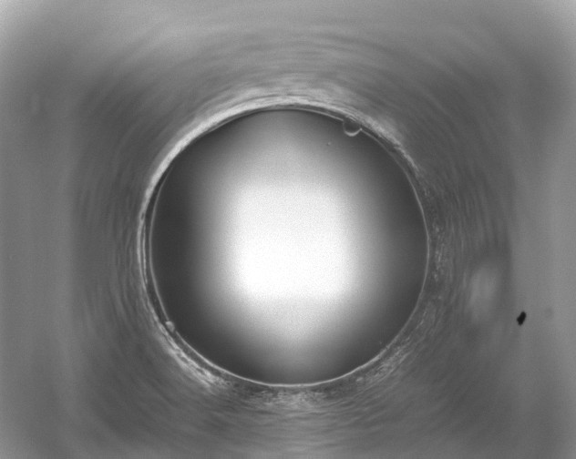 X0000059851516200510241450
