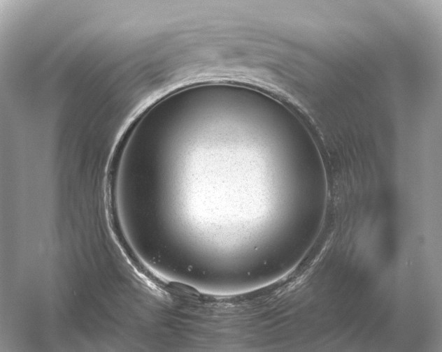 X0000059851517200510241450