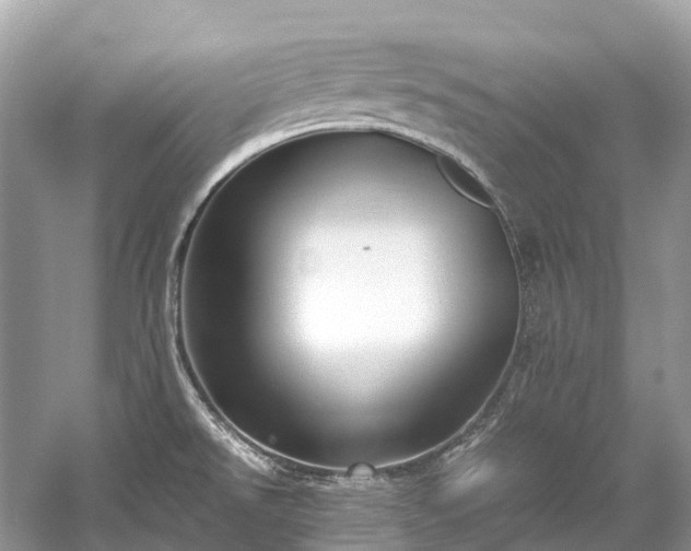 X0000059851526200510241450