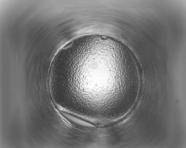 X0000059851529200510241450