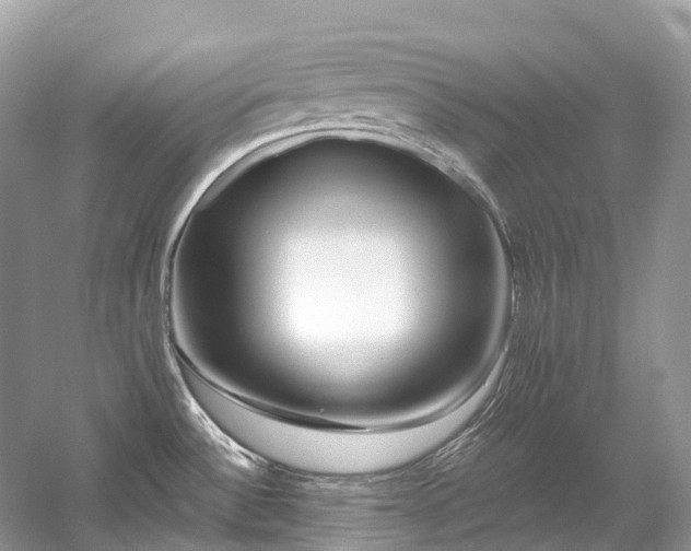 X0000059851532200510241450