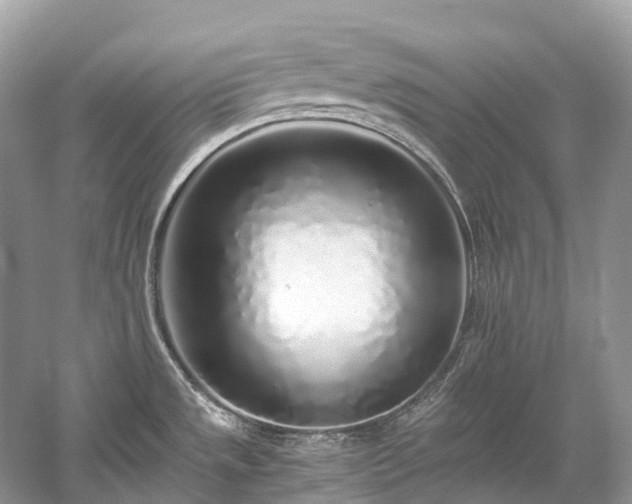 X0000059851533200510241450