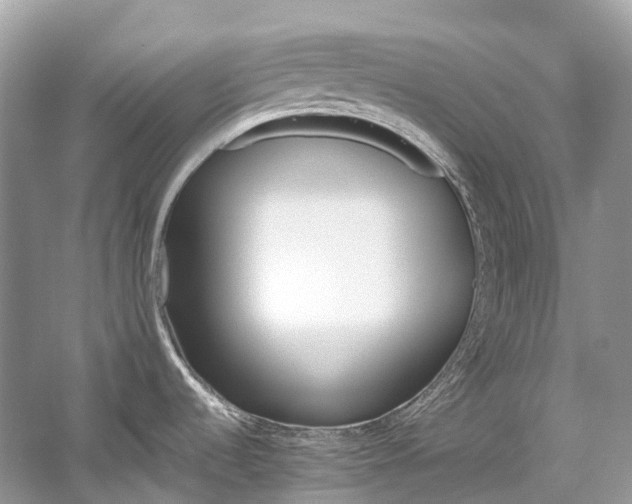 X0000059851536200510241450