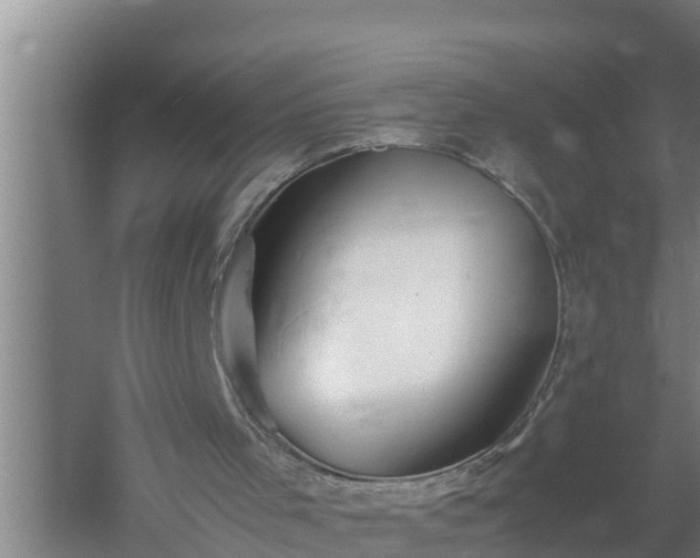 X0000059850001200510281904