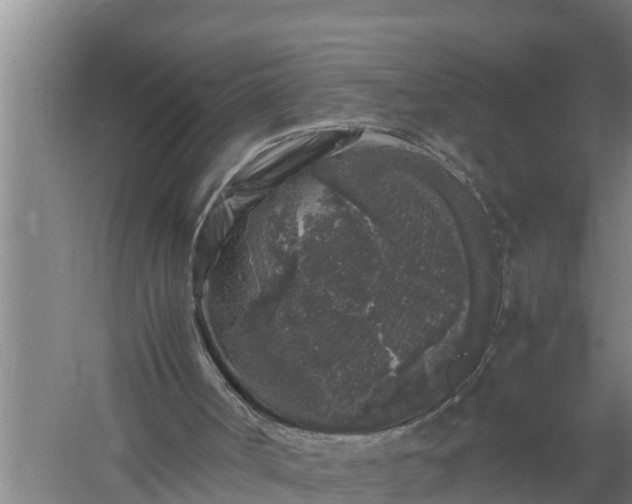 X0000059850002200510281903