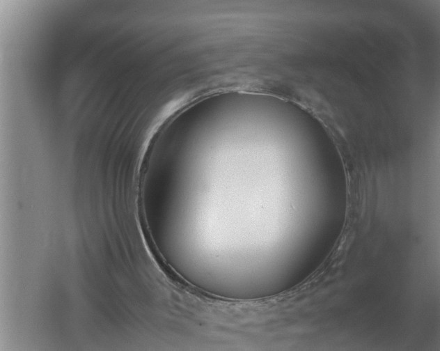 X0000059850003200510281903