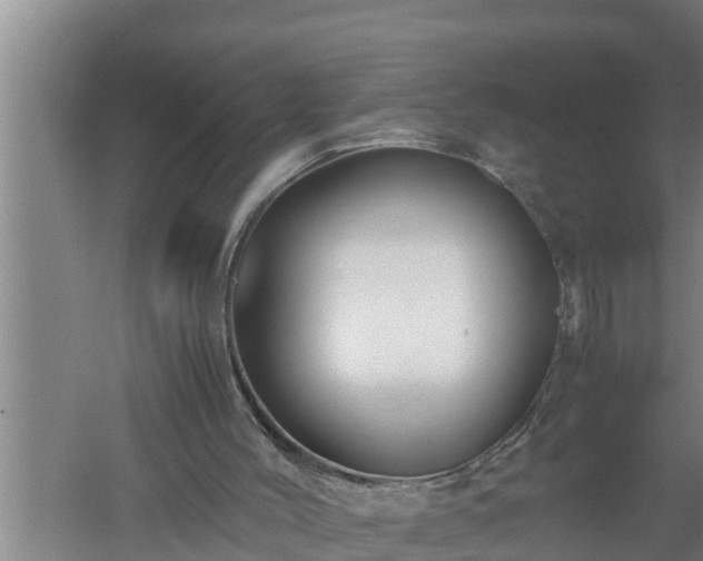 X0000059850004200510281903