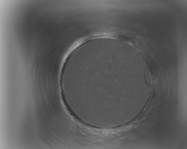 X0000059850006200510281903