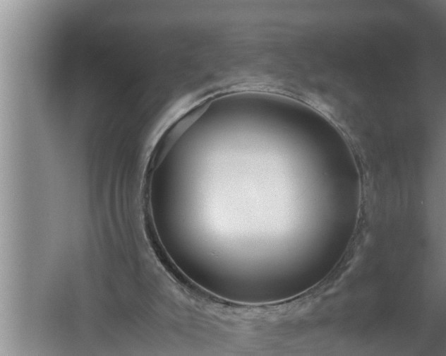 X0000059850007200510281903