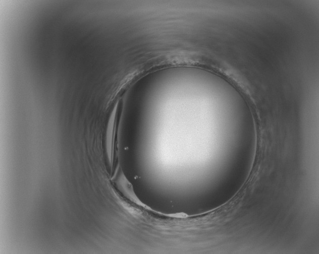 X0000059850009200510281903