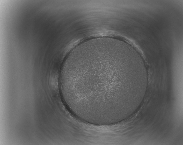 X0000059850010200510281903