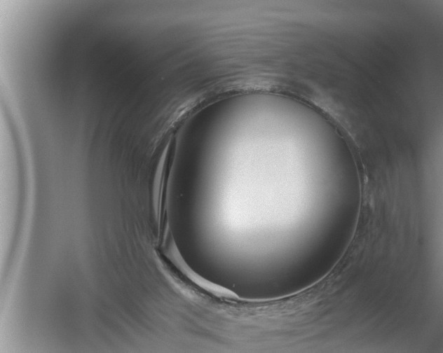 X0000059850013200510281903