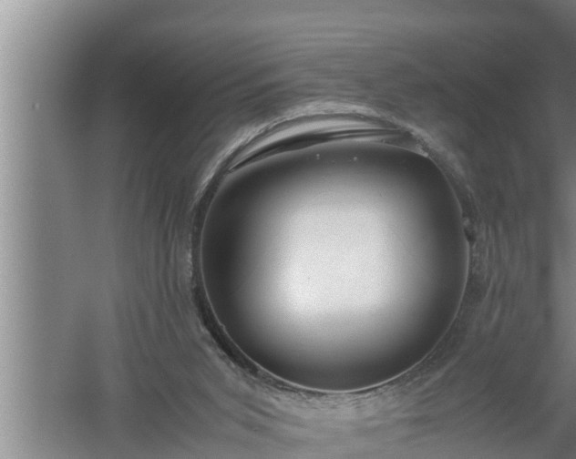 X0000059850015200510281903