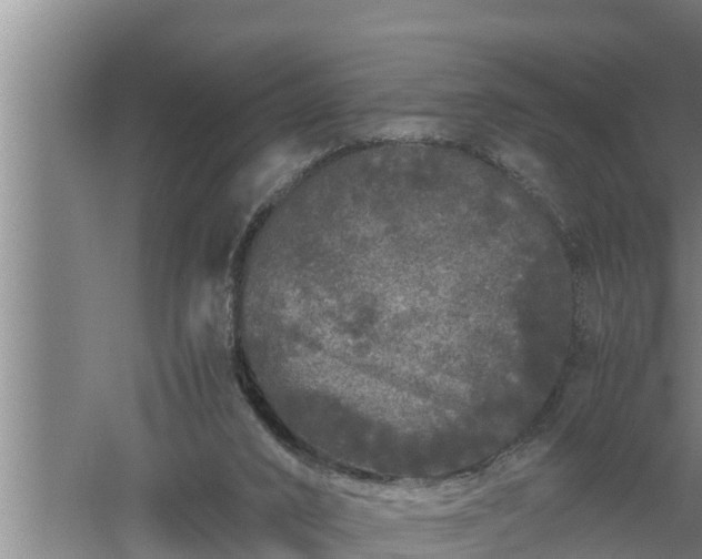 X0000059850016200510281903