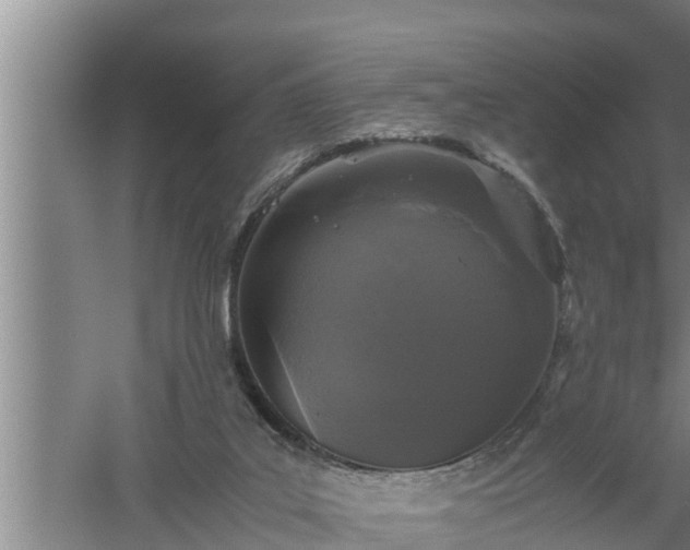 X0000059850019200510281903