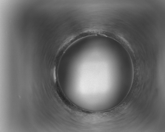 X0000059850020200510281903