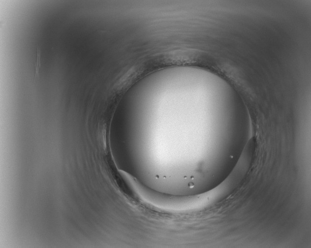 X0000059850021200510281903