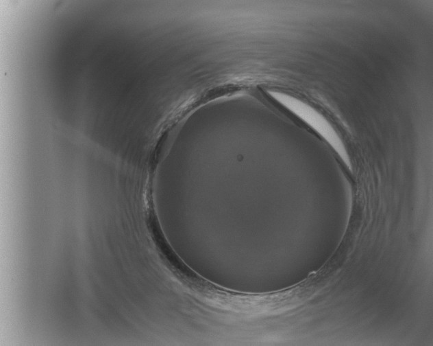 X0000059850023200510281903