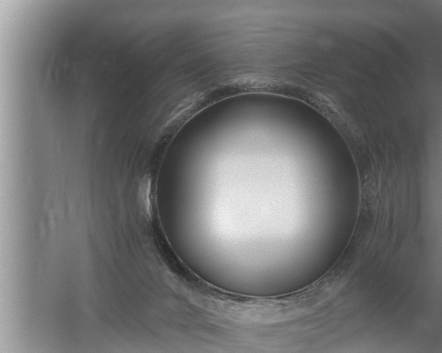 X0000059850024200510281903