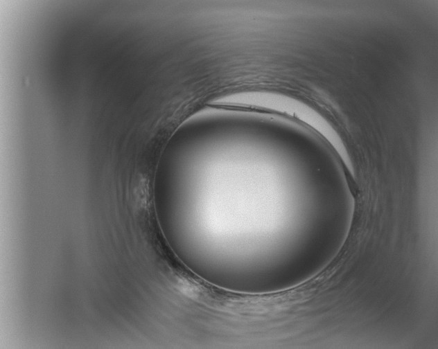 X0000059850025200510281903