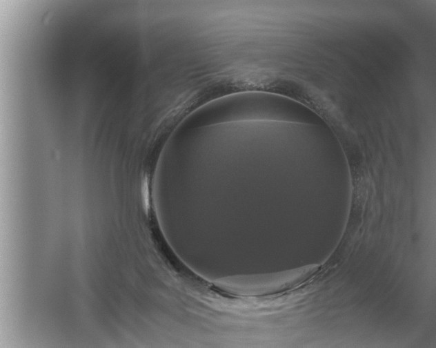 X0000059850027200510281903