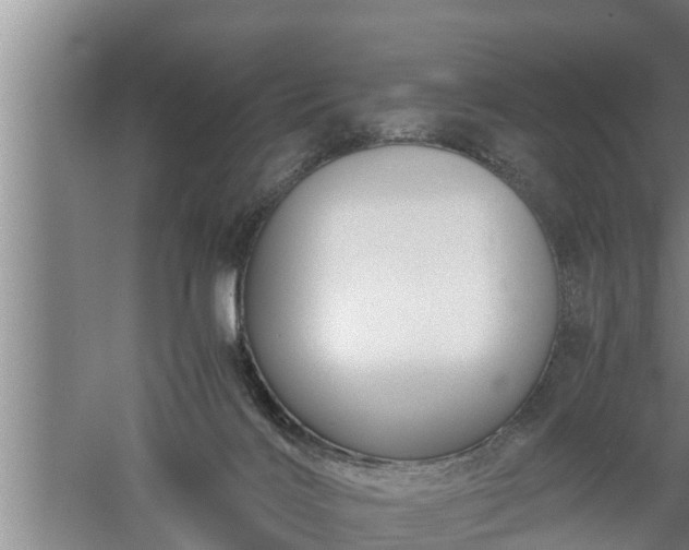 X0000059850028200510281903