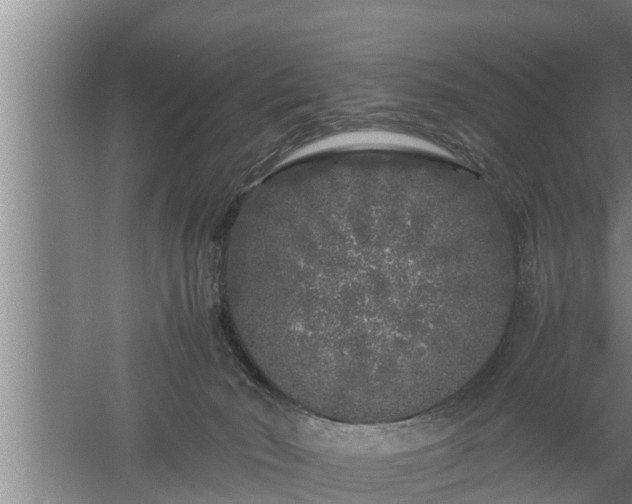 X0000059850030200510281903