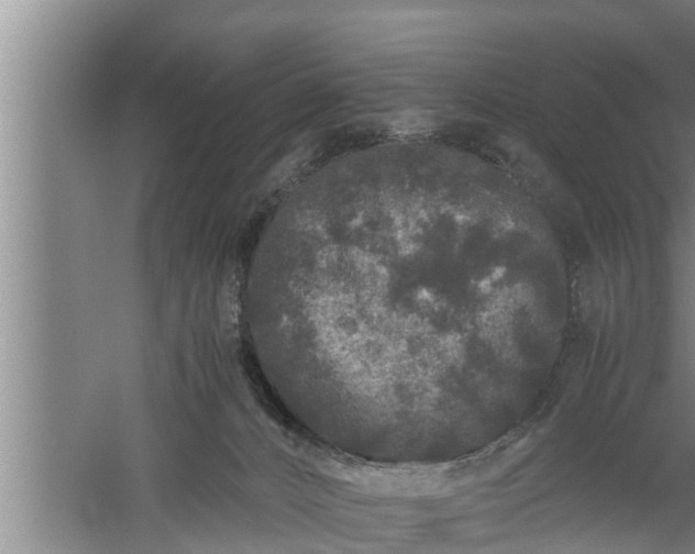 X0000059850032200510281903