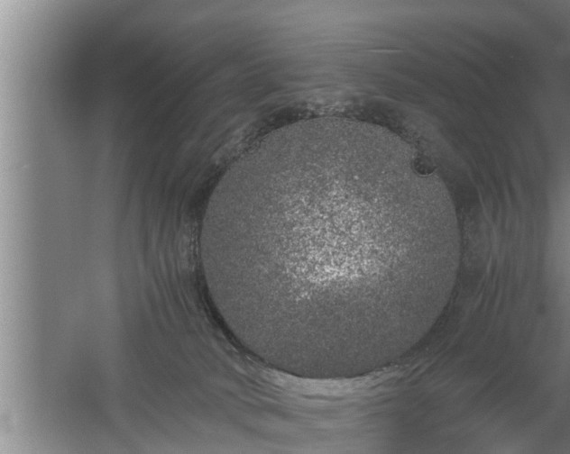 X0000059850034200510281903