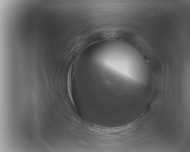 X0000059850035200510281903