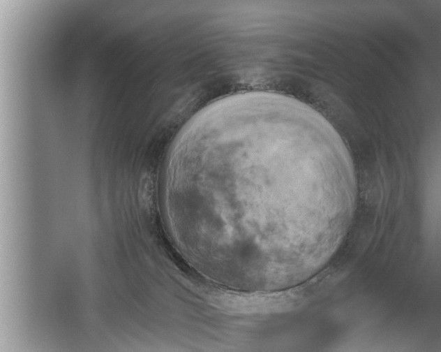 X0000059850036200510281903