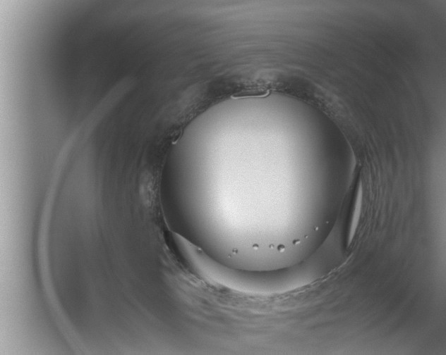 X0000059850037200510281903