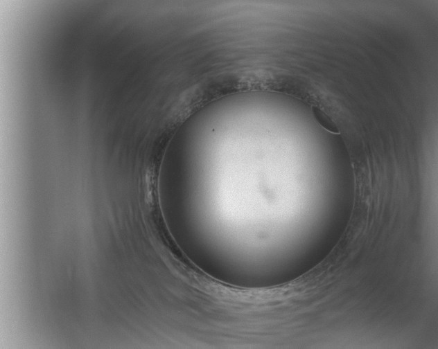 X0000059850038200510281903