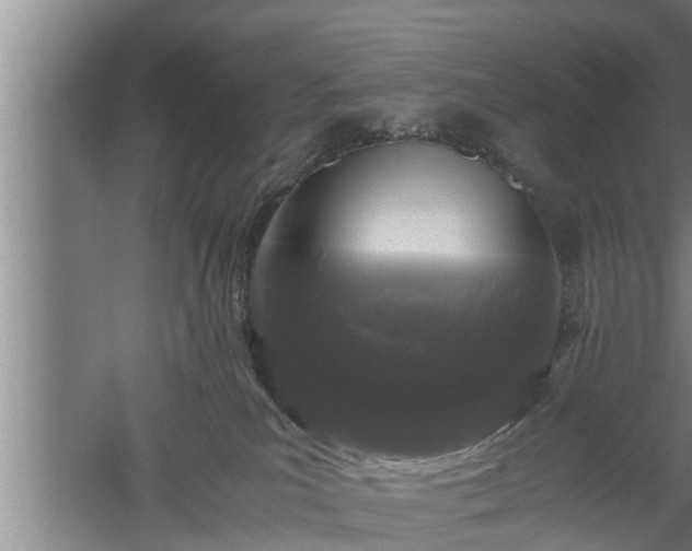 X0000059850039200510281903